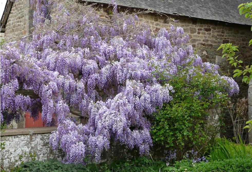 Le Clos Des Anges Dingé Exterior foto